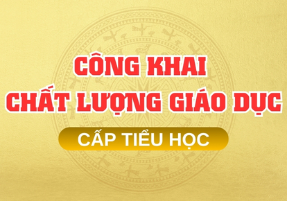 Công khai chất lượng giáo dục và các hoạt động chuyên môn Cấp tiểu học năm học 2024-2025